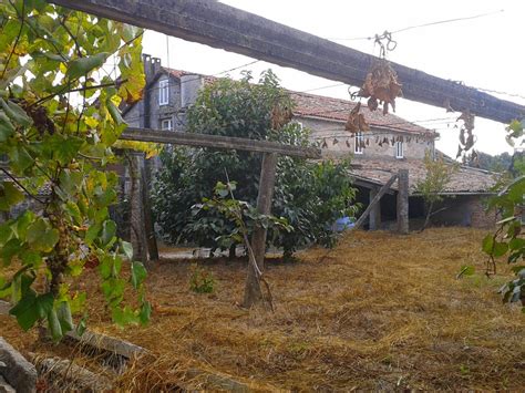 Las casas rurales con encanto de galicia mejor valoradas. casa da Cisneira - Turismo Rural Galicia