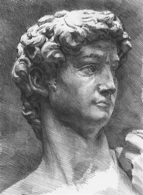 There are michelangelo drawings here which may appear unfinished. David, insired by Michelangelo Drawing by Peter Jochems