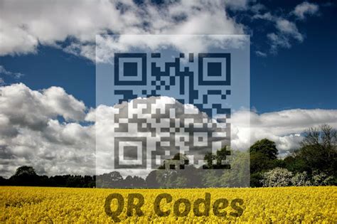 Qr Codes 25 Interesting Things To Know About Them Fromdev