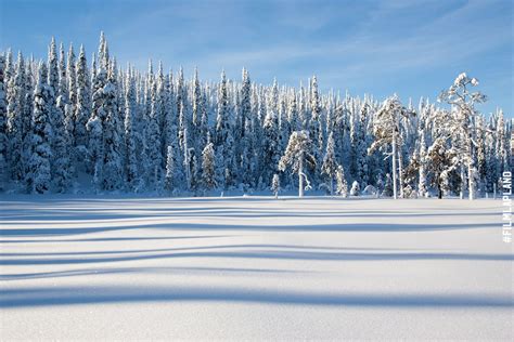Wilderness And Nature Film Lapland
