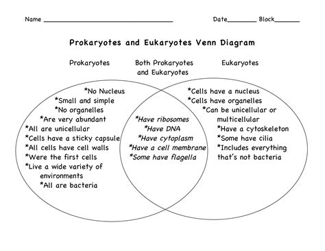 Photosynthesis And Chemosynthesis Venn Diagram