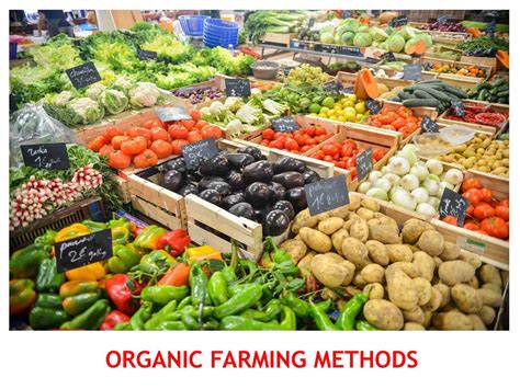 Organic Farming Methods Definition Types Advantages And Importance