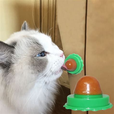 1pcs Cat Treats Energy Ball With Natural Catnipcat Snacks Licking