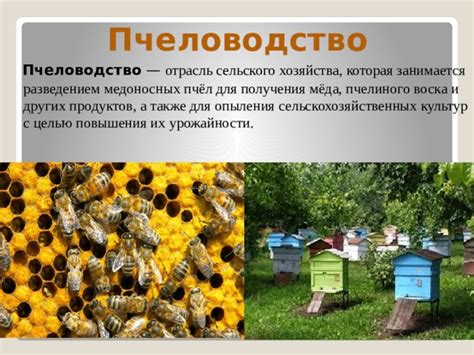 Презентация. Животноводство - География - Презентации - 8 класс