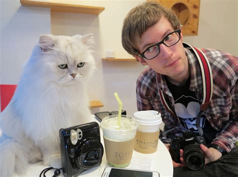 Is The United States Ready For Cat Cafes Right Meow