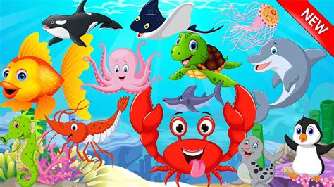 Sea Animals Learn For Kids Learn Sea Animals Water