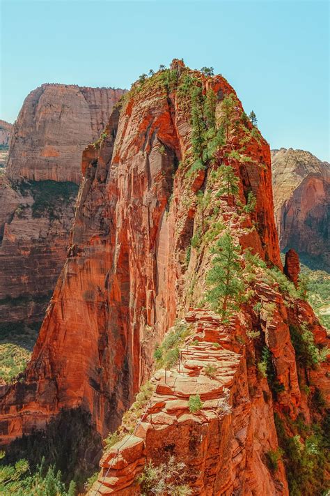 12 Best Things To Do In Zion National Park Usa In 2021 Zion National