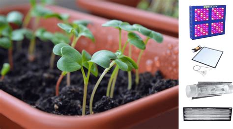 Many led grow lights floating on the market, you might find it a bit overwhelming to get your hands on the right light that meets all your expectations. Best Grow Lights for Seedlings - 2020 Reviews