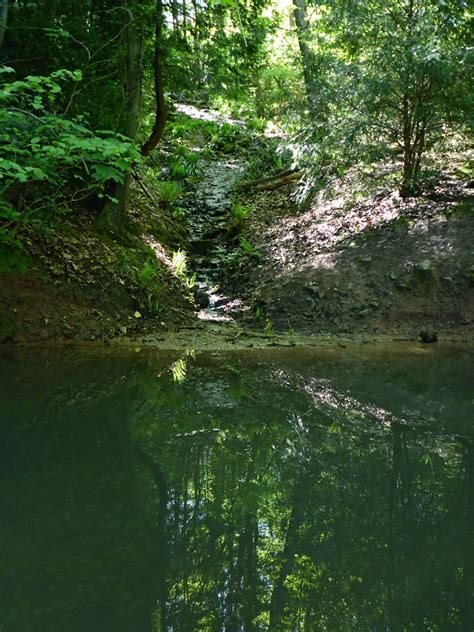 Plan the perfect getaway in the great outdoors, enjoy the scenery and wilderness, and soak up the adventure. Photographs of Leigh Woods National Nature Reserve ...