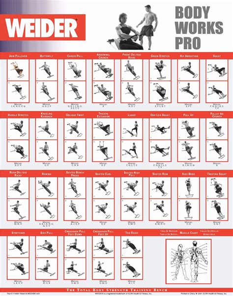 Weider Ultimate Body Works Exercises Chart Pdf