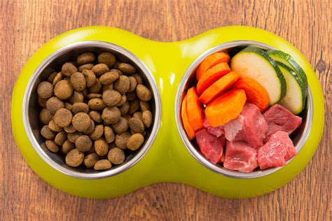 5 Best Homemade Dog Food Recipes Your Dog Will Love 2020
