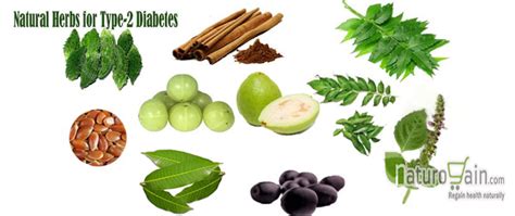 11 Natural Remedies For Diabetes To Maintain Healthy Sugar Levels Tips