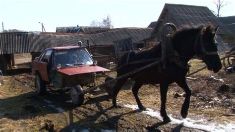 In The Belarusian Countryside A Farmer Rides A Horse Mobile