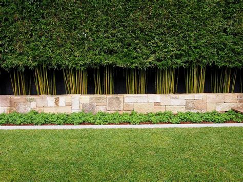 Many americans have taken to planting succulents in their gardens, especially in drier climates such as the south west. Outdoor Aesthetic Bamboo Fencing Ideas For Yard Parting ...