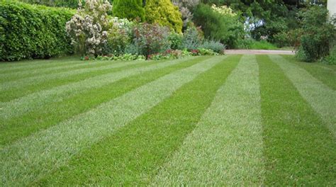 How To Create A Spectacularly Striped Lawn Or Grass Pattern Examples