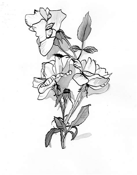 Pen And Ink Flowers On Behance