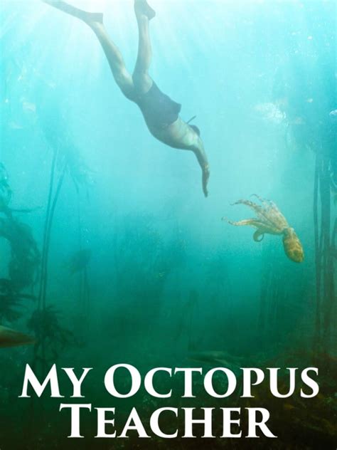 'my octopus teacher' stuns audiences, reinforces power of nature. My Octopus Teacher - Movie Reviews