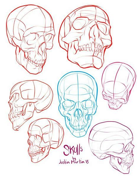 Pin By Sergei Noriega On Diseños Art Reference Skull Reference