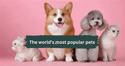The Worlds Most Popular Pets
