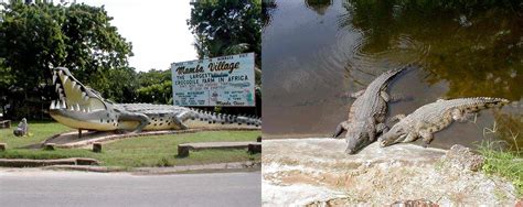Mamba Village A Crocodile Farm Adventure In Mombasa Shanzu Beachfront