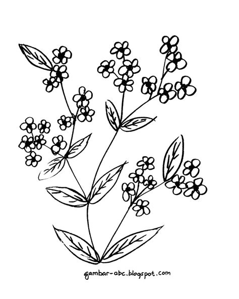 Gambar Bunga Hitam Putih Kartun Bonus