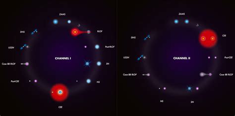 Modelling The Evolution Of Double Neutron Stars Spaceaustralia