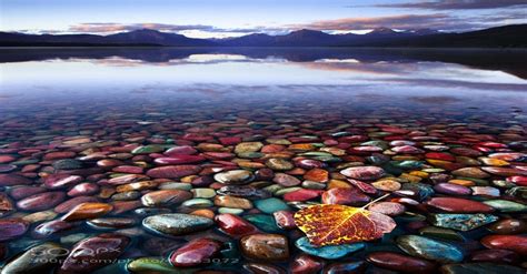 The Beautiful And Colorful Pebble Shore Lake In Glacier National Park