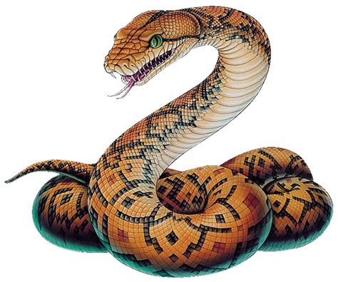 Giant Snake Png Free Logo Image