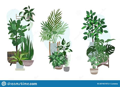 Three House Plants Sets Potted Tropical Plants Stock Vector