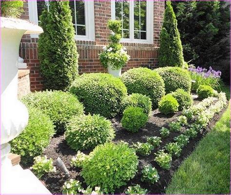 10 Best Bushes For Front Yard