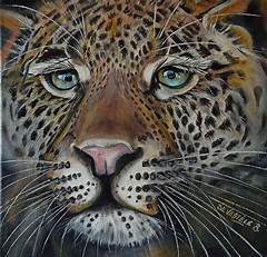 Feline Inspiration Catsillustrateds Artworks For Cat Lovers And Artists