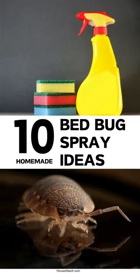 10 Homemade Bed Bug Spray Ideas