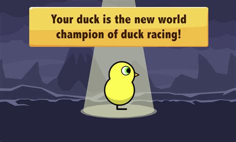 I Beat All Of Duck Life 4 In 3 Days Never Again Rcoolmathgames