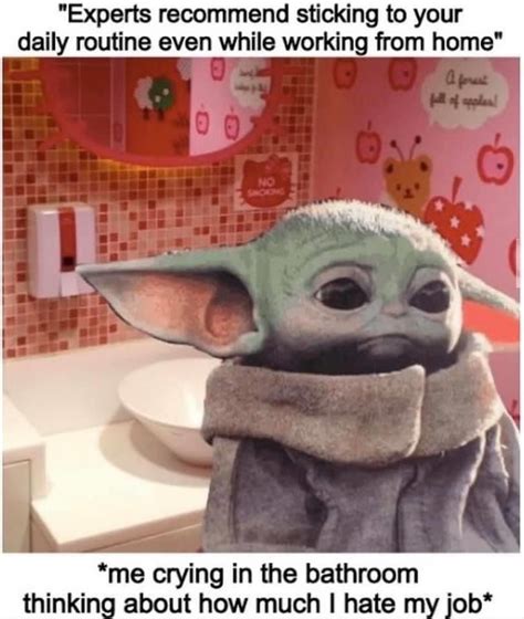 Baby yoda is literally just an unnamed character introduced on the disney+ television series, the mandalorian. Baby Yoda in 2020 | Yoda meme, Animal quotes, Monkey stuffed animal