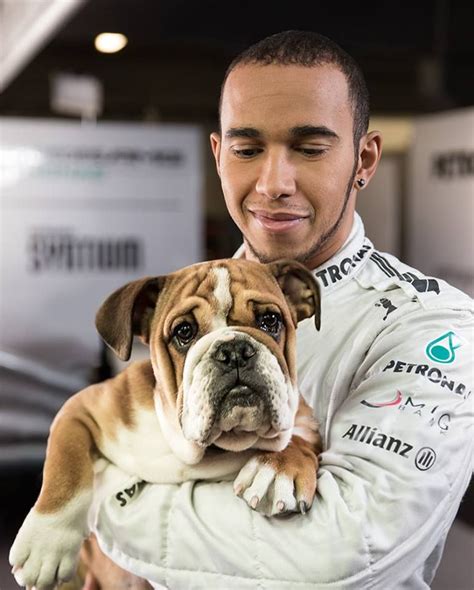 12,716 likes · 27 talking about this. Qeni i Lewis Hamilton fiton për një ditë më shumë para se ...