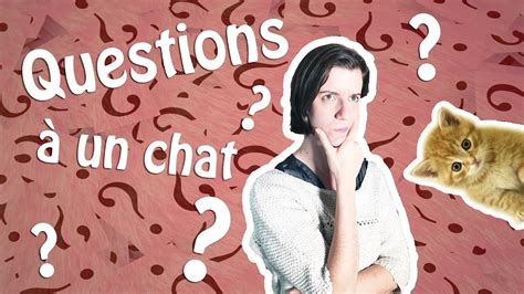 CES QUESTIONS QUESTIONS QU'ON AIMERAIT POSER - LE CHAT - YouTube