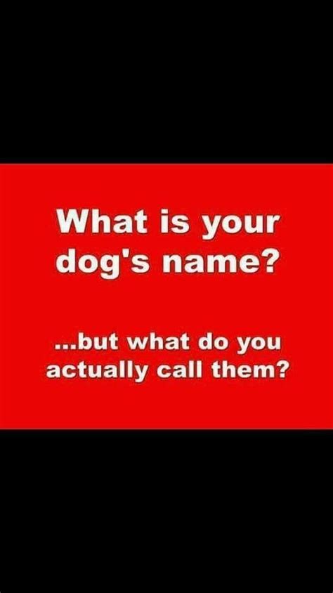 Pin By Kristi Huff On Are You Fb Bored Dog Names Incoming Call