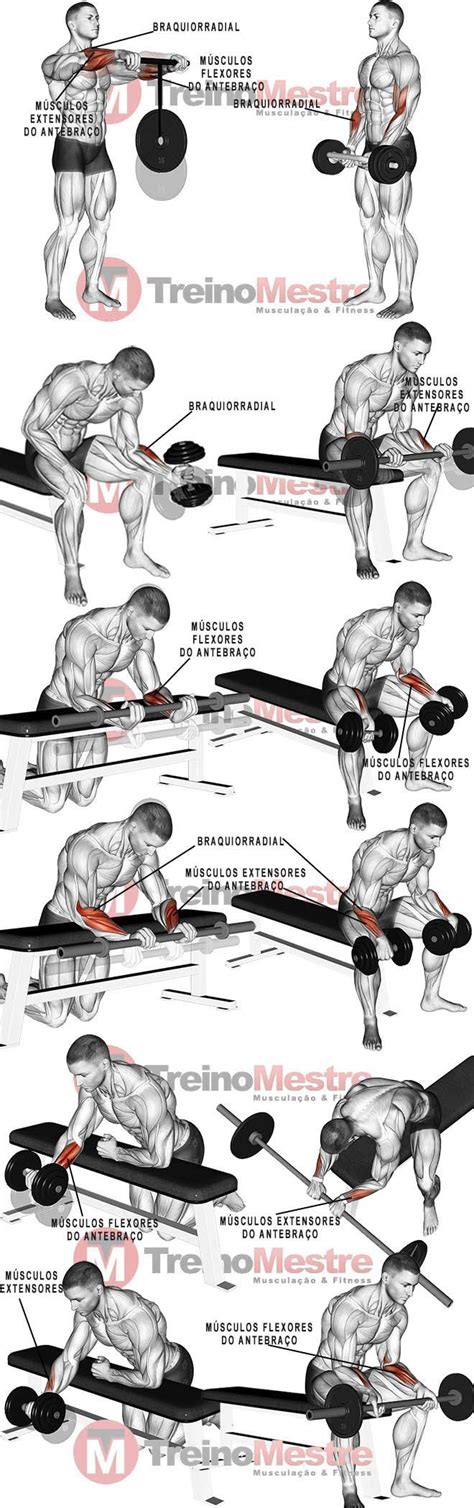 Antebraço Músculos 7 exercícios e dicas para antebraços mais fortes