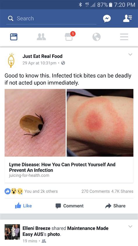 Tick Bite With Images Infected Tick Bite Tick Bite Juicing For Health