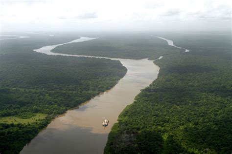 Amazon River Cruise With G Adventures
