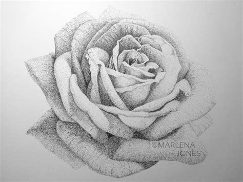 Stippling Drawing Of A Rose Made With Tiny Dots Etsy