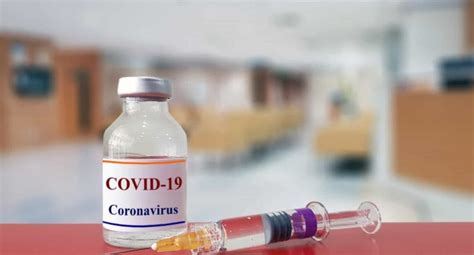 New coronavirus vaccine trials start in brazil. Vacina contra coronavírus será testada no Brasil | Baixada ...