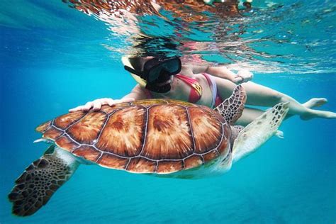 the best snorkeling tour with complimentary photos provided by breezing watersports barbados