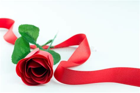 Red Rose And Ribbon Stock Photo Image Of Life Color 36899848