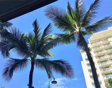 Hilton Garden Inn Waikiki Beach Updated 2022 Prices Reviews And Photos Oahu Hawaii Hotel