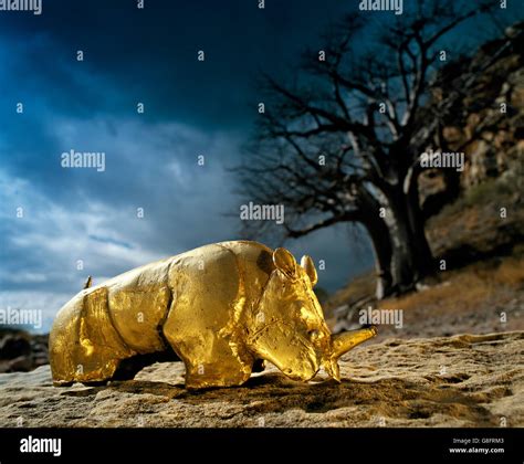 The Golden Rhinoceros Of Mapungubwe Hi Res Stock Photography And Images