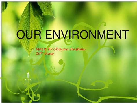 Our Environment Ppt