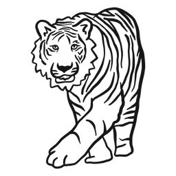 Tiger Muzzle Ear Stripe Doodle PNG SVG Design For T Shirts