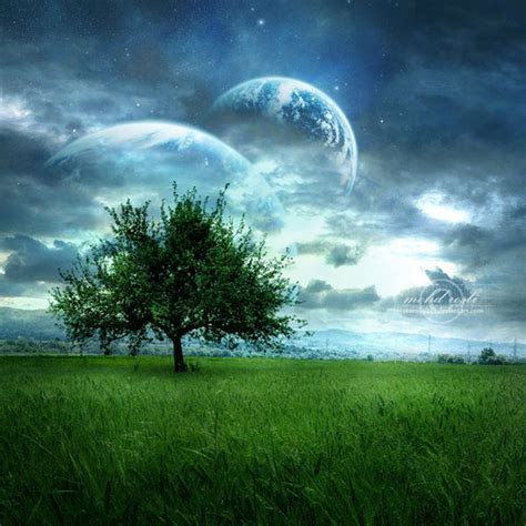 25 Spectacular Examples Of Tree Photo Manipulation Pixel Curse