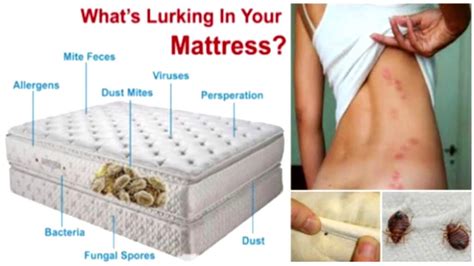 How To Get Rid Of Mattress Dust Mites Easily And Effectively
